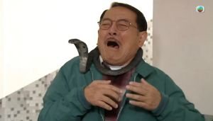 守诚者与宿敌契约等多部热播剧1月9日剧情概览及名媛望族看点