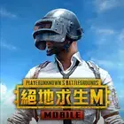 PUBG MOBILE：绝地求生M