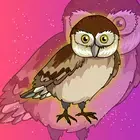 鸺鹠逃离笼子 (Glaucidium Owl Escape From Cage)