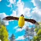 Flappy Eagle: 飞行模拟器
