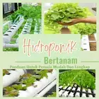初学者水培种植指南 (Hidroponik Untuk Pemula Mudah)