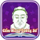 面相算命手册 | 看相占卜指南